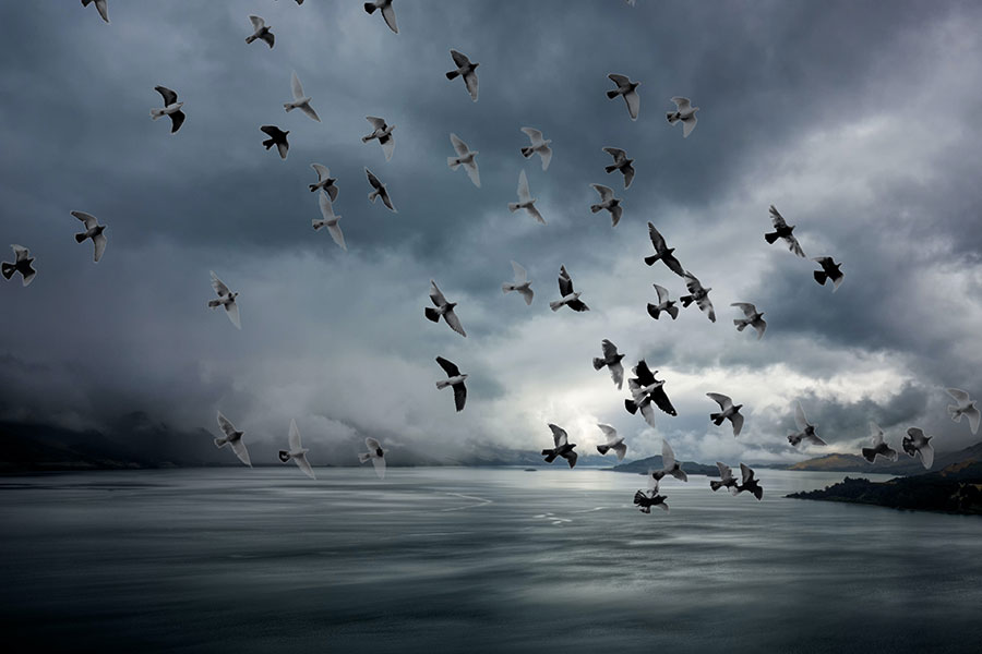 samuel-ferrara-uGhjqJzjvHA-unsplash-landscape-opt